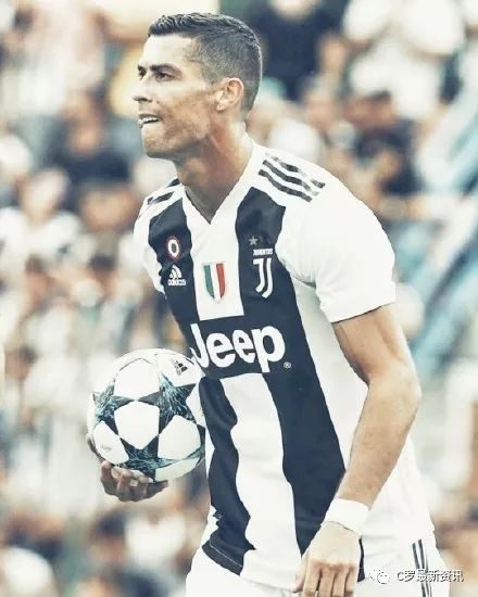 森林狼的顽强拼搏（森林狼的坚毅奋战）